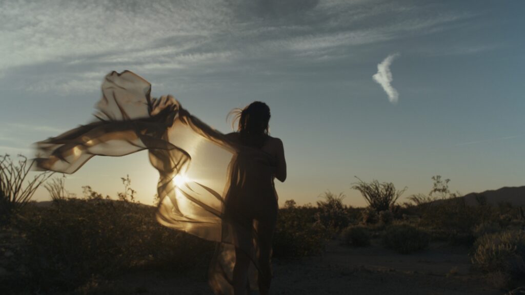 hemp as a nicotine alternative